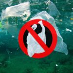 Malaysian companies urged to reduce plastic use to clean oceans