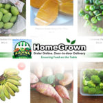 Philippine government taps e-commerce site for door-to-door delivery of farm products