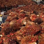 Malaysia end-August palm oil stocks hit 2 million tonnes for first time in 2 years