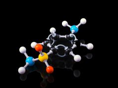 Kindai University Study Shows Arginine Reduces Alzheimer’s Protein Clumps in Animals Kindai University Study Shows Arginine Reduces Alzheimer's Protein Clumps in Animals