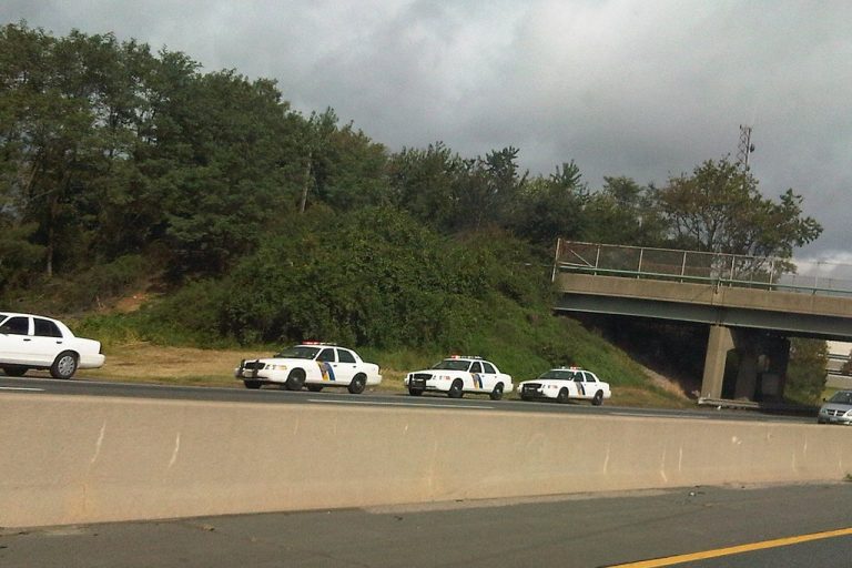 Highway Safety Statistics: Fatal Crashes on New Jersey Freeways