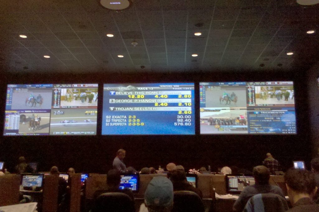 Prediction markets and crypto exchanges face uneven gambling rules as losses surge