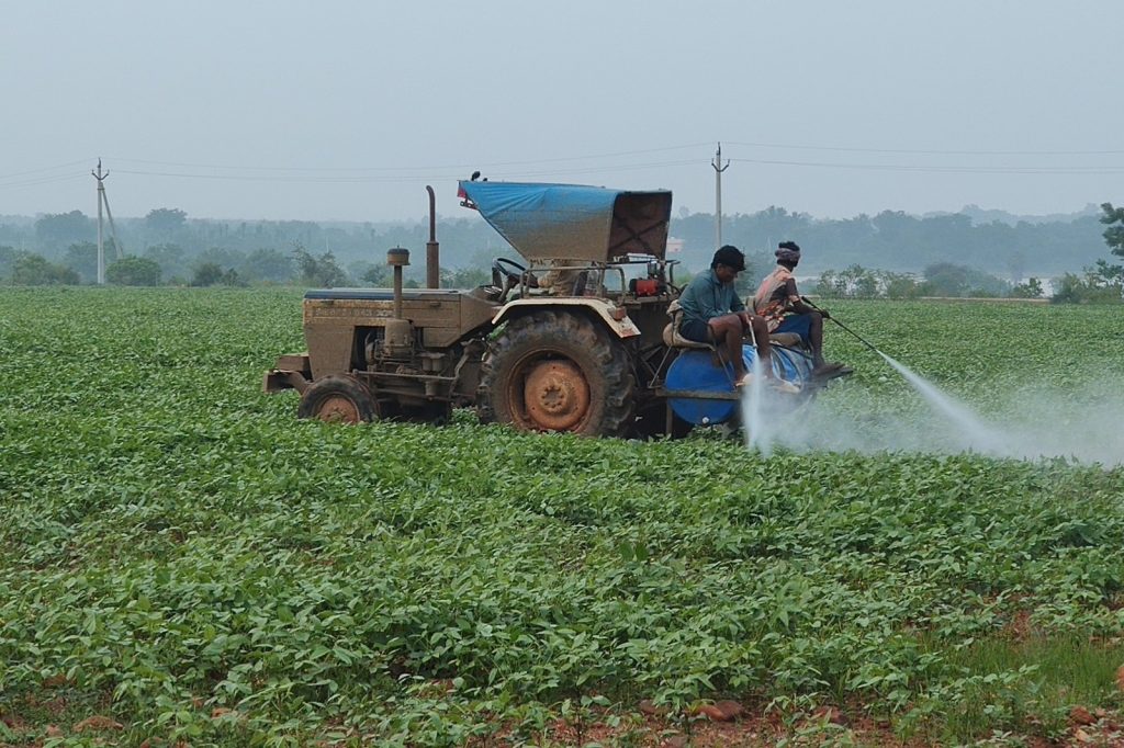 Banned Pesticides Detected in Asias Food Supply Chain