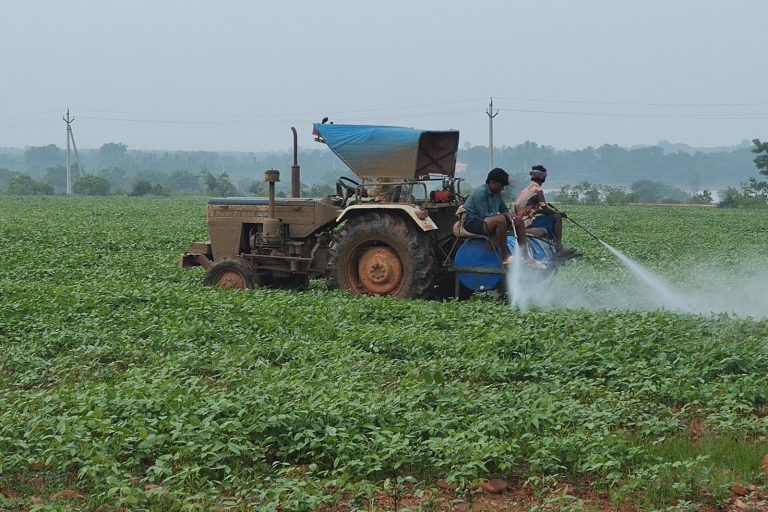 Banned Pesticides Detected in Asia’s Food Supply Chain
