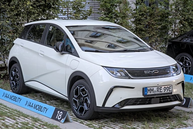 BYD rises from battery maker to world’s top EV seller in 20 years