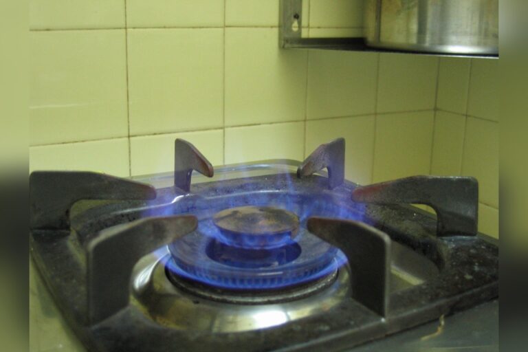 Washington Supreme Court Strikes Down Natural Gas Initiative 2066