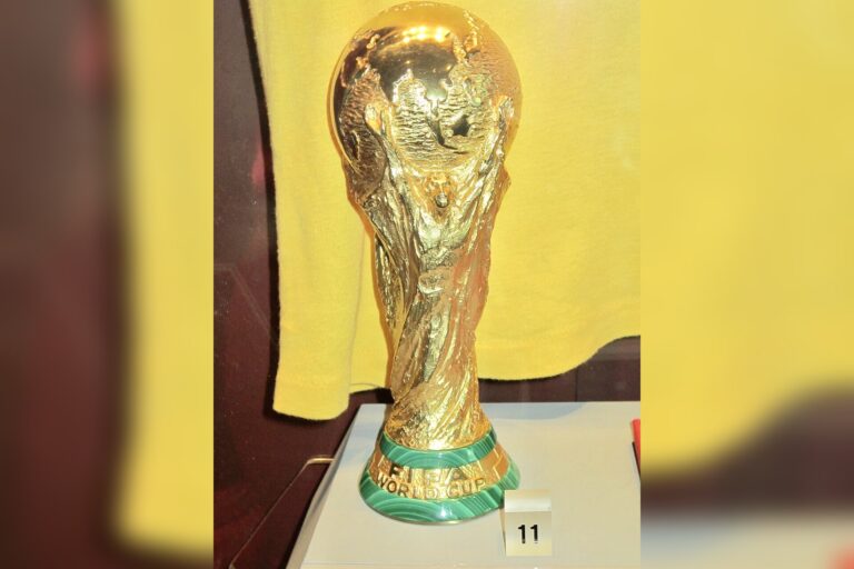 World Cup Boosts Sportswear Giants’ Sales and Market Trends