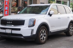 Kia Telluride 2020 Model Year Carries Most Recalls and Owner Complaints