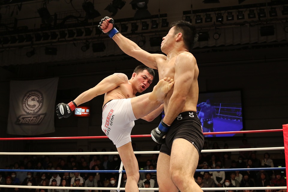 Mixed Martial Arts Fight